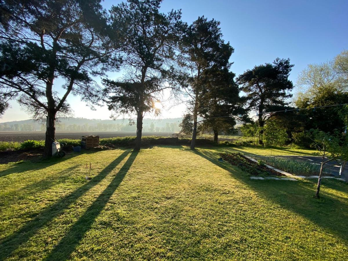 Domaine Du Tafiart Bed and Breakfast Sarron Buitenkant foto