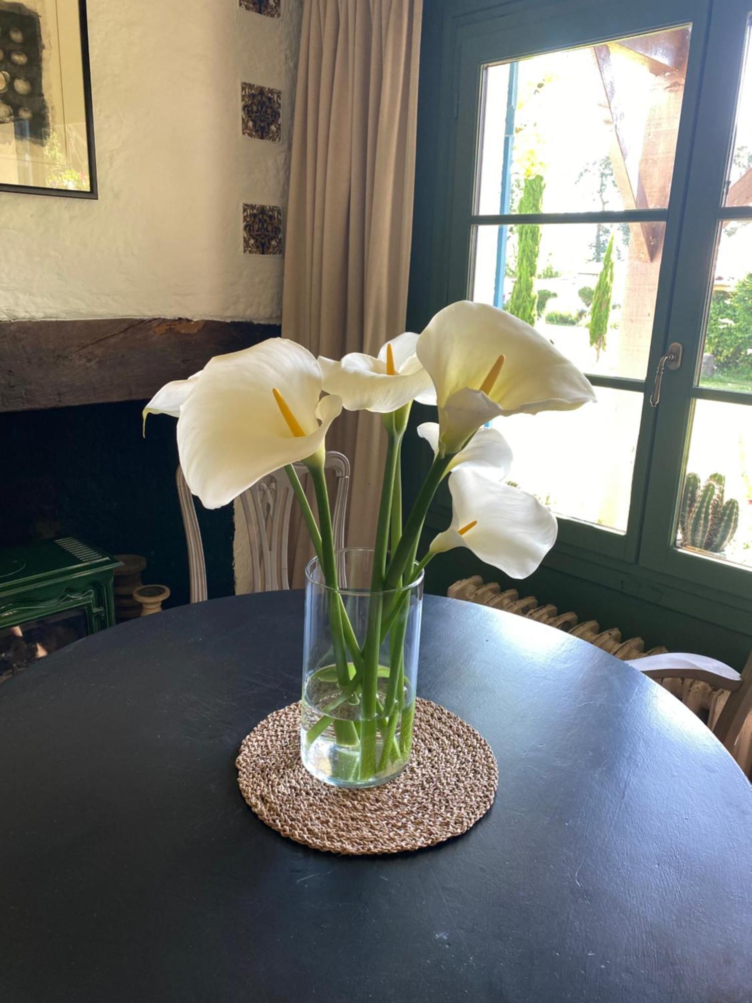 Domaine Du Tafiart Bed and Breakfast Sarron Buitenkant foto